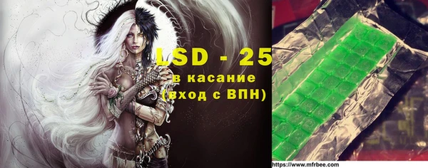 ГАЛЛЮЦИНОГЕННЫЕ ГРИБЫ Инта